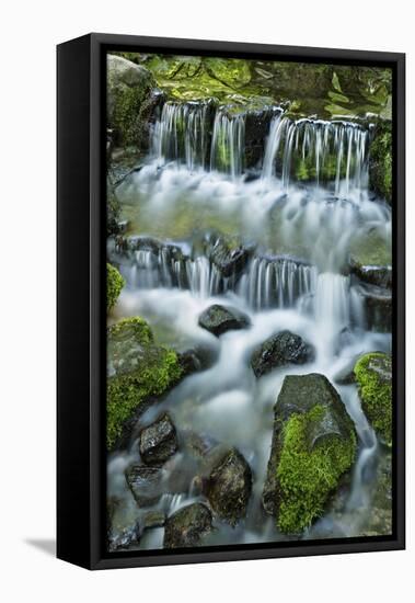 Cascading water, Fern Spring, Yosemite National Park, California-Adam Jones-Framed Stretched Canvas