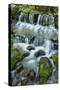 Cascading water, Fern Spring, Yosemite National Park, California-Adam Jones-Stretched Canvas