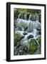 Cascading water, Fern Spring, Yosemite National Park, California-Adam Jones-Framed Photographic Print