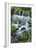 Cascading water, Fern Spring, Yosemite National Park, California-Adam Jones-Framed Photographic Print