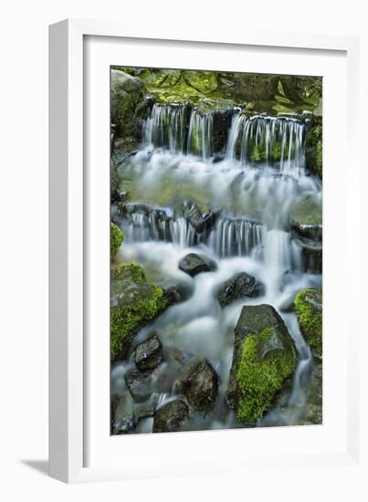 Cascading water, Fern Spring, Yosemite National Park, California-Adam Jones-Framed Photographic Print