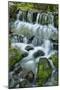 Cascading water, Fern Spring, Yosemite National Park, California-Adam Jones-Mounted Photographic Print