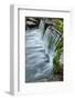 Cascading water, Fern Spring, Yosemite National Park, California-Adam Jones-Framed Photographic Print