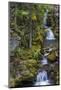 Cascading Waterfalls Along Falls Creek Near Nelson, British Columbia, Canada-Chuck Haney-Mounted Photographic Print