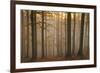 Casentinesi Forest, Tuscan-Emilian Appennines, Tuscany, Italy. Sunset into the Forest-ClickAlps-Framed Photographic Print