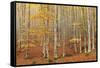 Casentinesi Forest, Tuscan-Emilian Appennines, Tuscany-ClickAlps-Framed Stretched Canvas