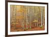 Casentinesi Forest, Tuscan-Emilian Appennines, Tuscany-ClickAlps-Framed Photographic Print