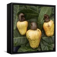 Cashew Nuts, Thailand-Russell Gordon-Framed Stretched Canvas
