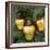 Cashew Nuts, Thailand-Russell Gordon-Framed Photographic Print