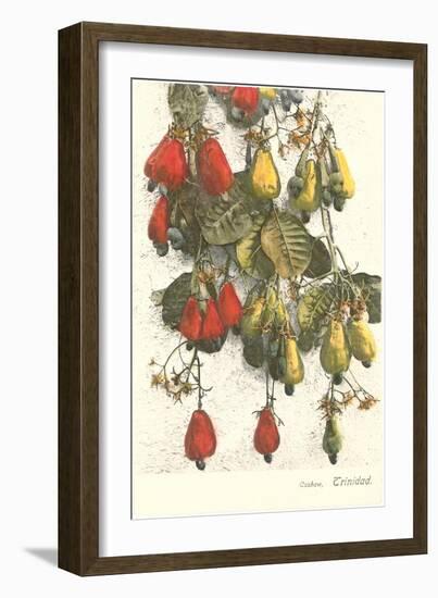 Cashew Plants, Trinidad-null-Framed Art Print