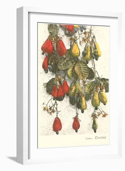 Cashew Plants, Trinidad-null-Framed Art Print