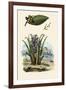 Cashew Tree, 1833-39-null-Framed Giclee Print