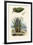 Cashew Tree, 1833-39-null-Framed Giclee Print