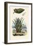 Cashew Tree, 1833-39-null-Framed Premium Giclee Print