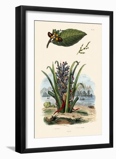 Cashew Tree, 1833-39-null-Framed Premium Giclee Print