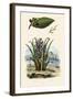 Cashew Tree, 1833-39-null-Framed Giclee Print