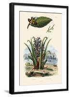 Cashew Tree, 1833-39-null-Framed Giclee Print