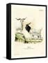 Cashmere Goat-null-Framed Stretched Canvas