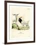 Cashmere Goat-null-Framed Giclee Print