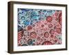 Casidlofaliton, 2016-Vincent Alexander Booth-Framed Giclee Print