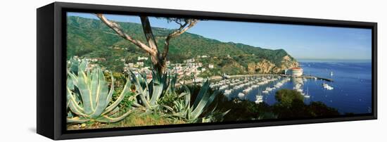 Casino Building and Avalon Harbor, Avalon, Catalina Island, California-null-Framed Stretched Canvas