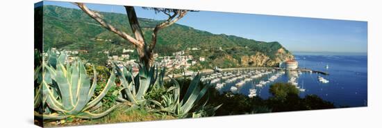 Casino Building and Avalon Harbor, Avalon, Catalina Island, California-null-Stretched Canvas