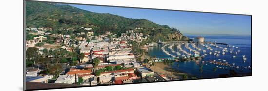 Casino Building and Avalon Harbor, Avalon, Catalina Island, California-null-Mounted Photographic Print