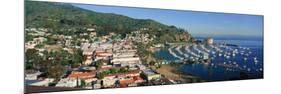 Casino Building and Avalon Harbor, Avalon, Catalina Island, California-null-Mounted Photographic Print