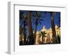 Casino Framed by Flowers and Palm Trees in Monte Carlo, Monaco, Europe-Tomlinson Ruth-Framed Photographic Print