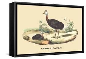Casoar Casque-E.f. Noel-Framed Stretched Canvas