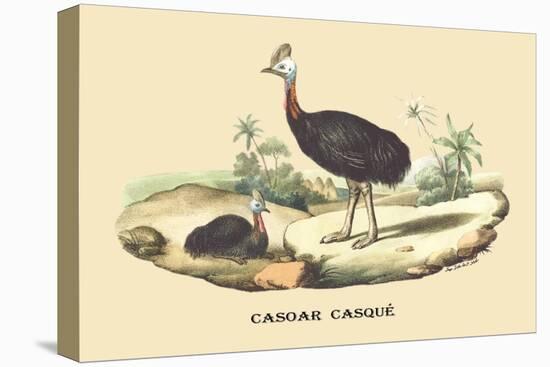 Casoar Casque-E.f. Noel-Stretched Canvas