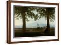 Brown Frame