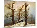 Wood Mount
