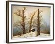 Chelsea Forest Gray