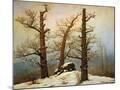 Wood Mount