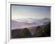 Gramercy White