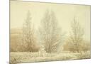 Wood Mount