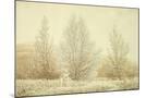 Wood Mount