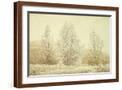 Brown Frame