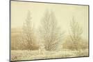 Wood Mount