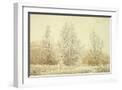 White Frame