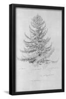 Caspar David Friedrich (Spruce) Art Poster Print-null-Framed Poster