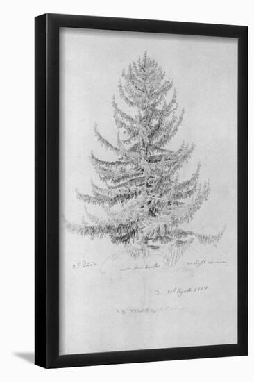 Caspar David Friedrich (Spruce) Art Poster Print-null-Framed Poster