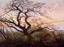 The Tree of Crows, 1822-Caspar David Friedrich-Giclee Print