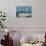 Caspian Terns, Breeding Colony on Island in Baltic Sea, Sweden-Bengt Lundberg-Photographic Print displayed on a wall