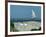 Caspian Terns, Breeding Colony on Island in Baltic Sea, Sweden-Bengt Lundberg-Framed Photographic Print