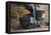 Cass Scenic Railroad 17 1-Robert Michaud-Framed Stretched Canvas