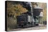 Cass Scenic Railroad 17 1-Robert Michaud-Stretched Canvas