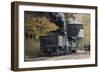 Cass Scenic Railroad 17 1-Robert Michaud-Framed Giclee Print