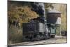 Cass Scenic Railroad 17 1-Robert Michaud-Mounted Giclee Print